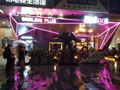 -Darling Queen·Mini·Live·House