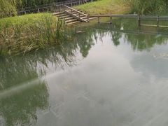 -上方山森林动物世界