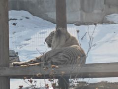 -太原动物园
