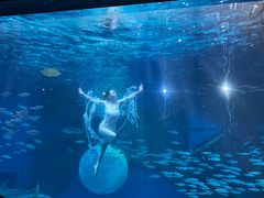 -海合安成都极地海洋公园
