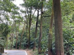 -广州市帽峰山景区