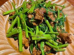 沙茶牛肉炒空心菜-星期天的电球引换所