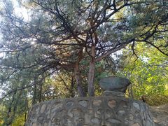 -北京鹫峰国家森林公园