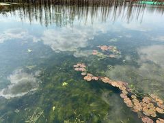 -白鹭湾湿地公园