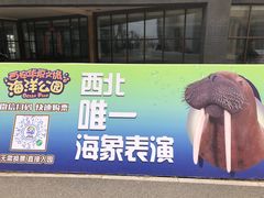 景点-华夏文旅海洋公园