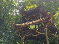 -青城山