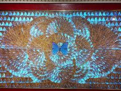 -上海昆虫博物馆