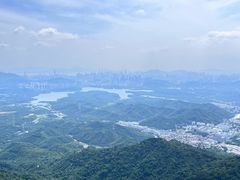 -阳台山森林公园
