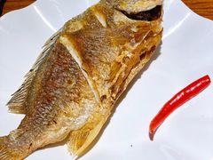 干煎黄翅鱼-全渔村小海鲜