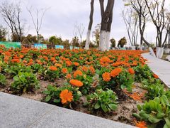 -上海长兴岛郊野公园