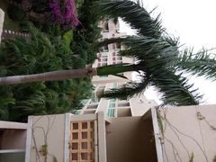 android_upload_pic-三亚亚龙湾凯莱仙人掌度假酒店