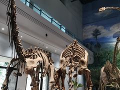 -自贡恐龙博物馆