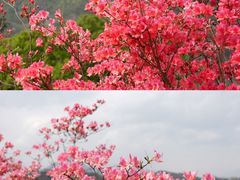 -岳西天峡风景区