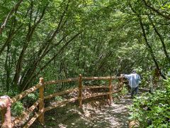 -黑龙潭风景区