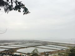 -蛇蟠岛
