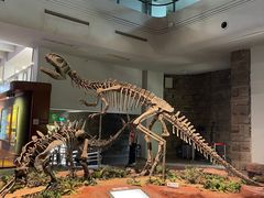 -自贡恐龙博物馆
