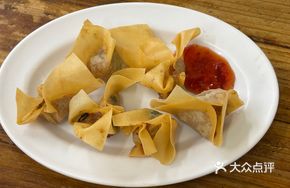 Crispy Fried Dumplings