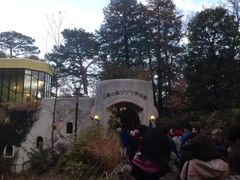 -三鹰之森吉卜力美术馆