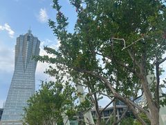 -运河游船(武林门码头)