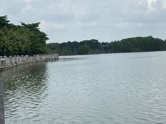 -海珠湖公园