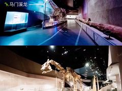 -武汉园博园(武汉自然博物馆)