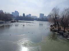 -迎泽公园
