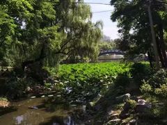 -玉佛苑