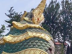 -洛阳白马寺