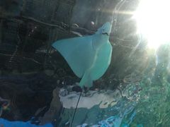 -常州海昌海洋探索馆