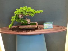 -香河家具城