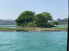 -金盆阿嬷香菇茶叶蛋(玄光店)