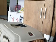 -艾贝尔宠物医院·24H转诊中心·肿瘤猫专科(江宁双龙店)