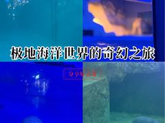 -蓬莱欧乐堡海洋极地世界
