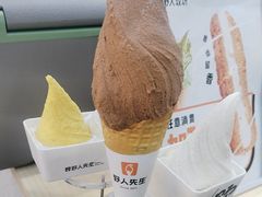 -野人先生现做冰淇淋(西安赛格店)
