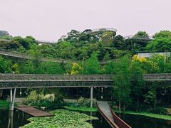 -福道