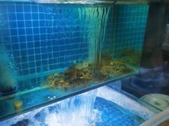 -大哈福烧烤·海鲜·家常菜(延安三路店)