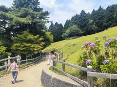 -神户市立六甲山牧场