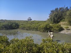 -北海金海湾红树林生态旅游区