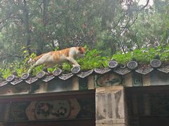 -四门塔风景区