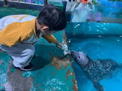 -嘉兴海底世界