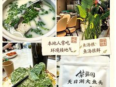 -紫藤园·天目湖大鱼头(南山竹海店)
