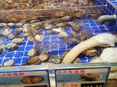 -粤珍轩.创始店.始于2001(含光门店)