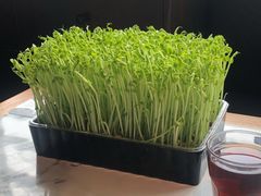 -今日炊牛·潮汕牛肉火锅(华采天地店)