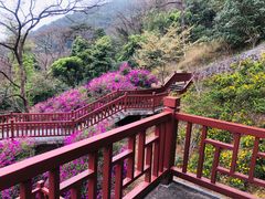 -广州市石门国家森林公园