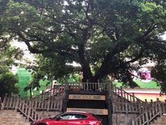 -水围村