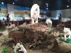 -陕西自然博物馆