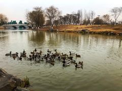 -西安浐灞国家湿地公园
