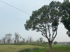 -阳澄湖半岛旅游度假区