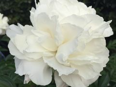 -常熟理文铂尔曼酒店