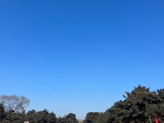 -北陵公园